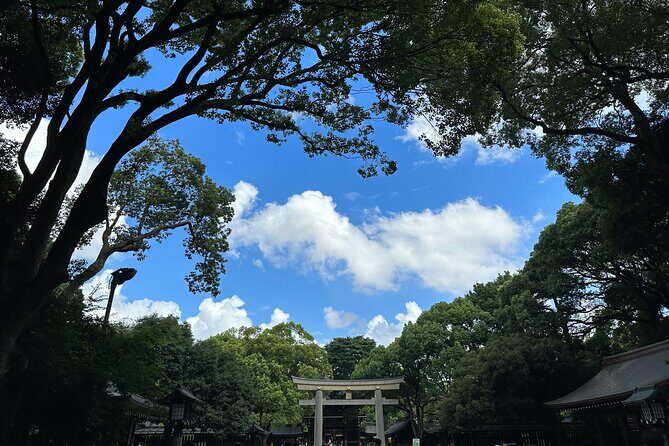 3 Hour Private Tokyo Meiji Jingu Shrine Wellness Tour - Who Should Consider This Tour?