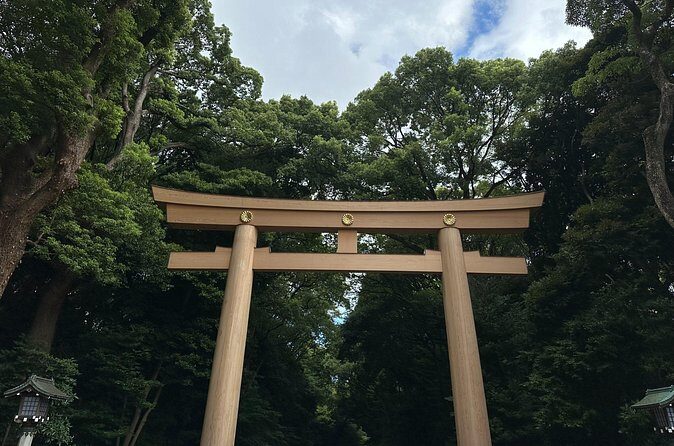 3 Hour Private Tokyo Meiji Jingu Shrine Wellness Tour - Final Thoughts