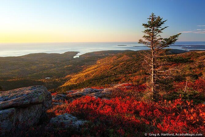 3 Hour Private Tour: Explore all the top spots of Acadia! - Making the Most of Your Acadia Experience in Just Three Hours