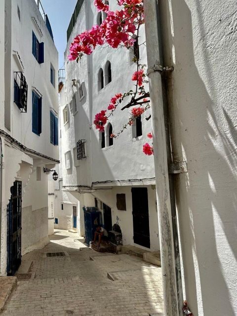 3 hour private Walking Tour of TANGIER - Mendoubia Gardens & Scenic Views