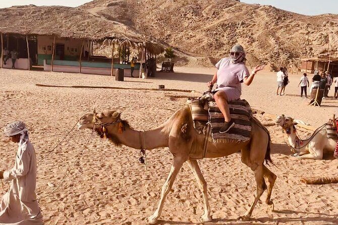 3-hour Quad bike Adventure in Marsa Alam - FAQ