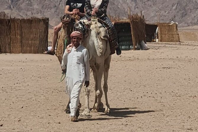 3 Hour Quad Biking Bedouin Village and Camels in Hurghada - The Itinerary: What’s Really Involved