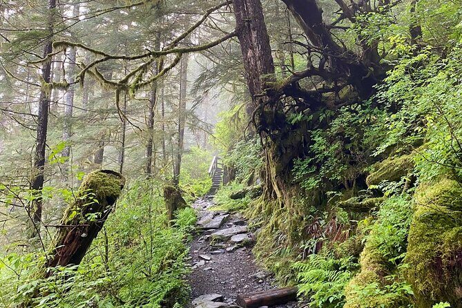 3-Hour Rainforest, Beach & Wildlife Walk - Starting Point & Transportation