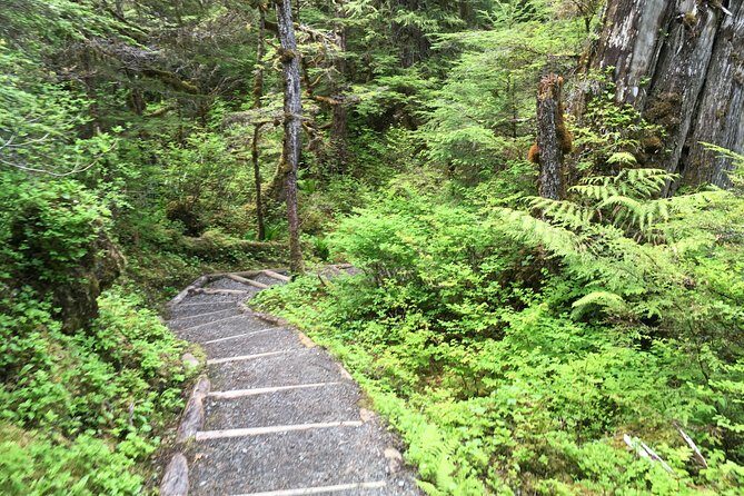 3 Hour Rainforest Walk & Totem Park Wild Wolf Tours - Potlatch Totem Park: Native Culture in Focus