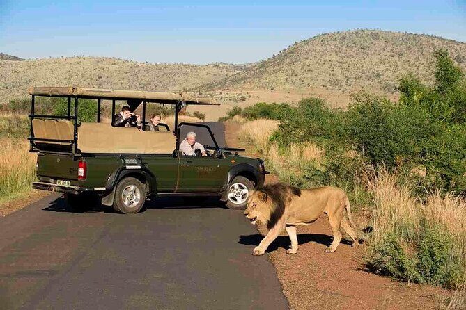 3-Hour Safari Tour in Pilanesberg National Park - What Travelers Say