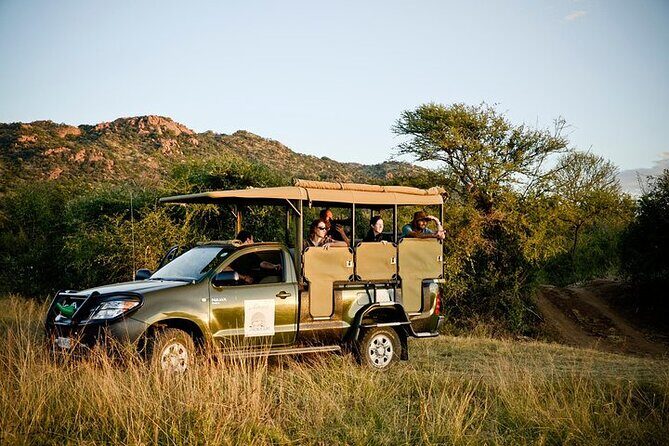 3-Hour Safari Tour in Pilanesberg National Park - The Sum Up