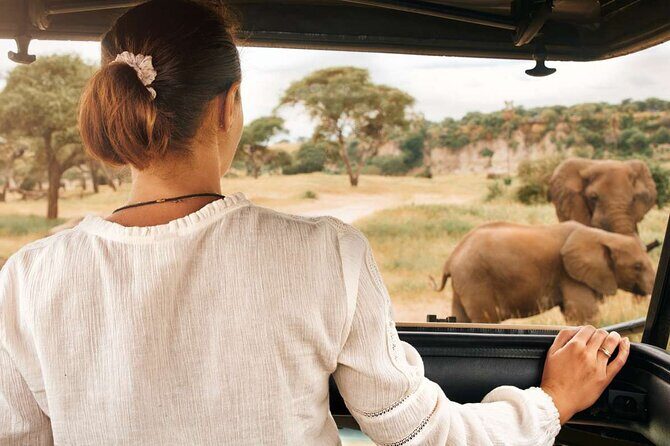 3-Hour Safari Tour in Pilanesberg National Park - FAQ