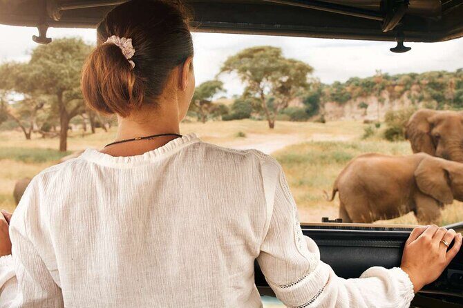 3-Hour Scheduled Safari Game Drive in Pilanesberg National Park - The Experience in Detail