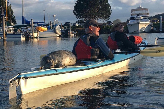 3-Hour Sea Kayak Tour in the San Juan Islands - Why This Tour Is a Fantastic Choice