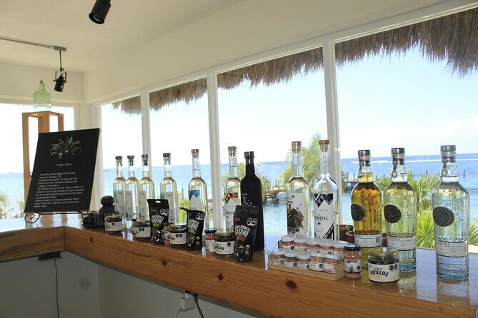 3-Hour Small-Group Mezcal and Tequila Tasting activity from Cozumel - FAQs