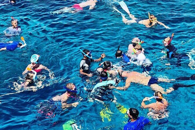 3 Hour Snorkeling and Dolphin Watching Experience in Muscat - Key Points