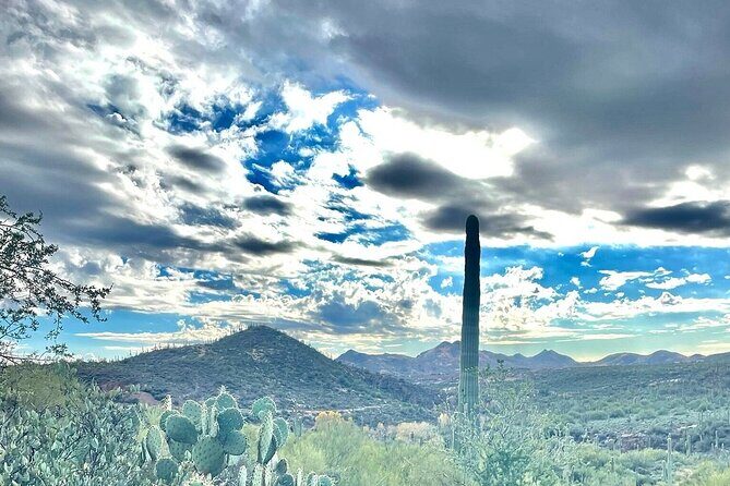 3 Hour Sonoran Desert Private Guided Mountain Bike Tour - Key Points