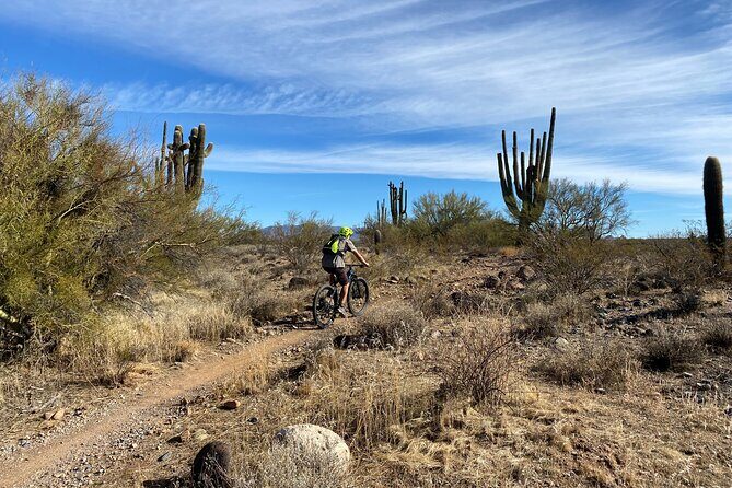 3 Hour Sonoran Desert Private Guided Mountain Bike Tour - Who Should Consider This Tour?