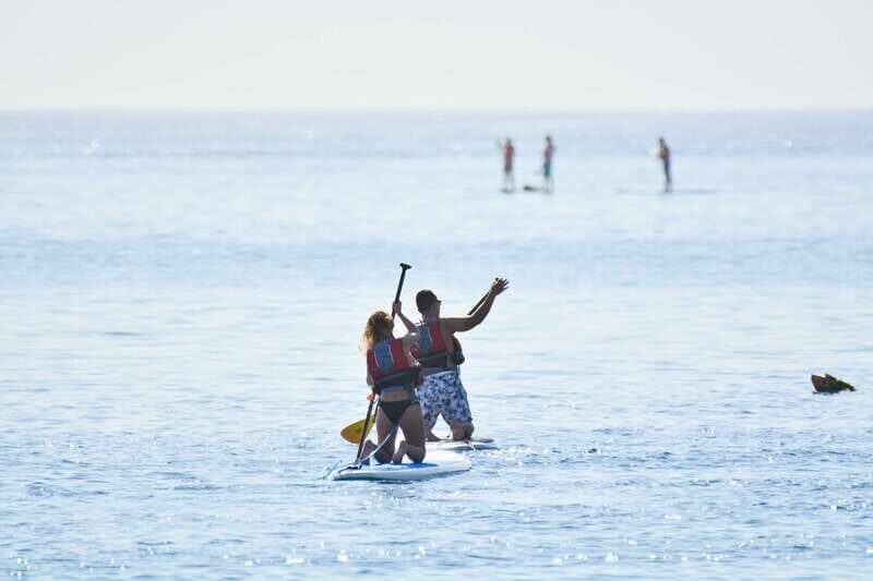 3-Hour Stand up Paddle and Snorkel at Los Cabos - Key Points