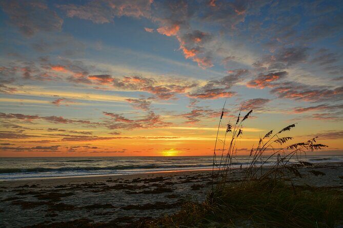 3 Hour Sunset Cruise to Shell Island - Key Points