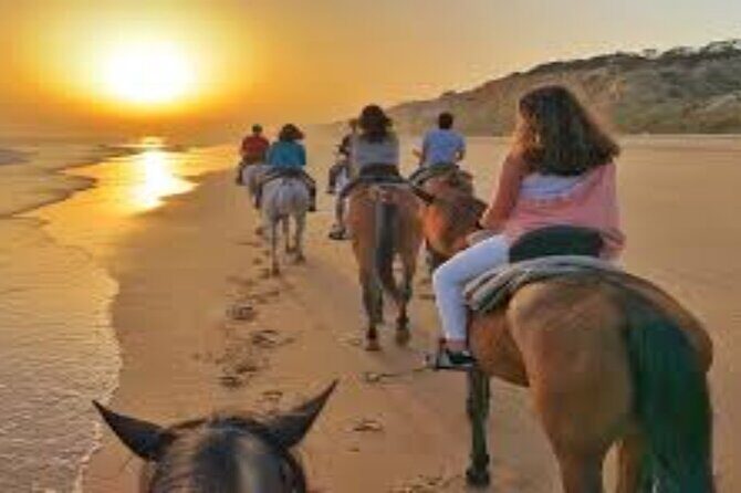 3-Hour Swim with Horses and Romantic Dinner from Hurghada hotels - An In-Depth Look at the 3-Hour Horseback Adventure