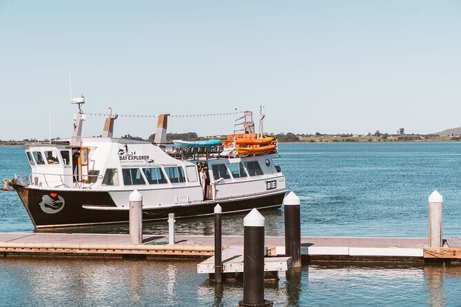 3 Hour Tauranga Scenic Cruise - Key Points
