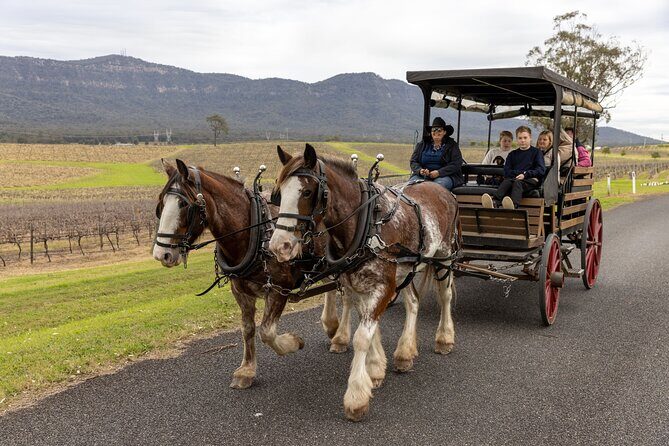 3- Hour Wine and Harvest the Hunter Horse Tour in Pokolbin - Experience the Hunter Valley in a Unique Way