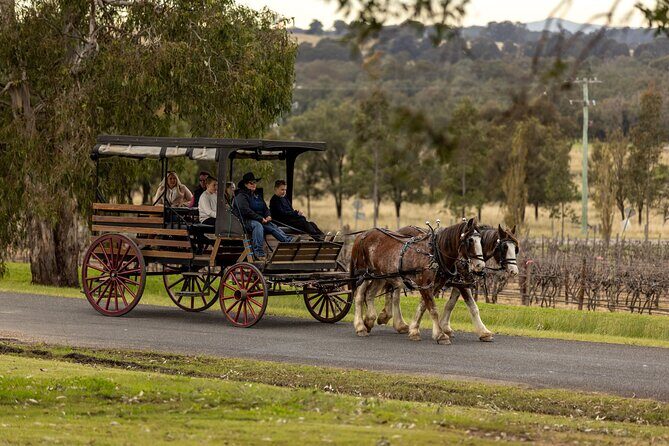 3- Hour Wine and Harvest the Hunter Horse Tour in Pokolbin - An In-Depth Look at the Tour Experience