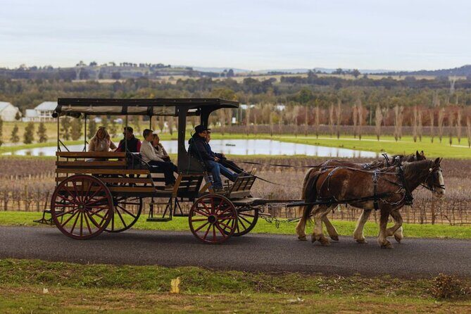 3- Hour Wine and Harvest the Hunter Horse Tour in Pokolbin - Who Will Love This Tour?