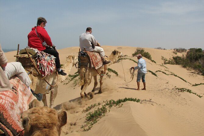 3 hours Camel Ride in Essaouira with Dinner and Overnight in Berber Camp - The Berber Camp: A Night Under the Stars
