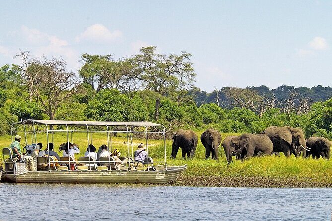 3 Hours Chobe River Boat Cruise - An In-Depth Look at the Chobe River Cruise Experience