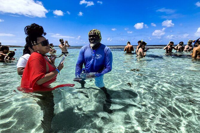 3-Hours Eye-Opening Stingray City Antigua - Transfer R/T included - What to Expect from the Tour