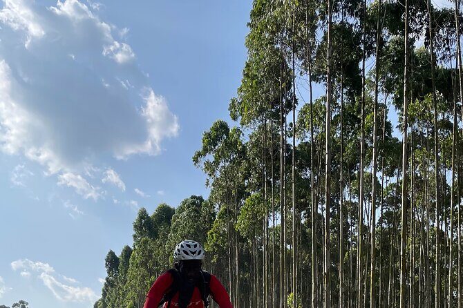 3 Hours Guided Cycling Tour Across Lake Victoria - Overall Value and Suitability