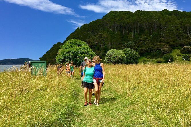 3 Hours // Hole in the Rock Cruise & Bay of Islands Tour - Weather & Cancellation Policies