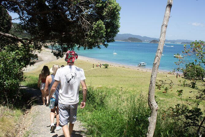 3 Hours // Hole in the Rock Cruise & Bay of Islands Tour - Who Should Consider This Tour?