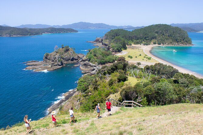 3 Hours // Hole in the Rock Cruise & Bay of Islands Tour - In The Sum Up