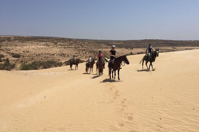 3 hours horse riding in Essaouira, beach, forest and dunes - Why This Horseback Ride Is Worth Considering