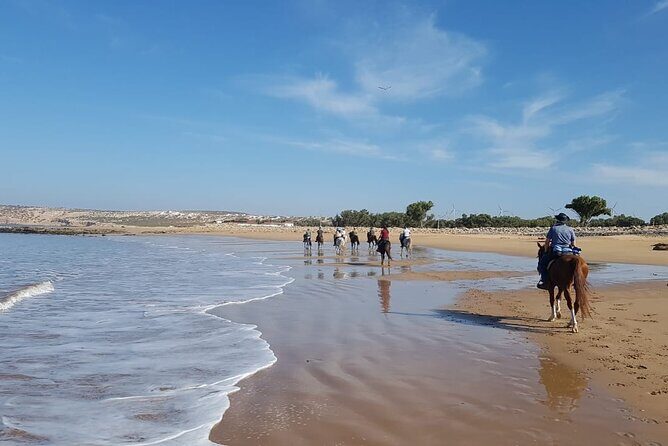 3 hours horse riding in Essaouira, beach, forest and dunes - Practical Details and Considerations