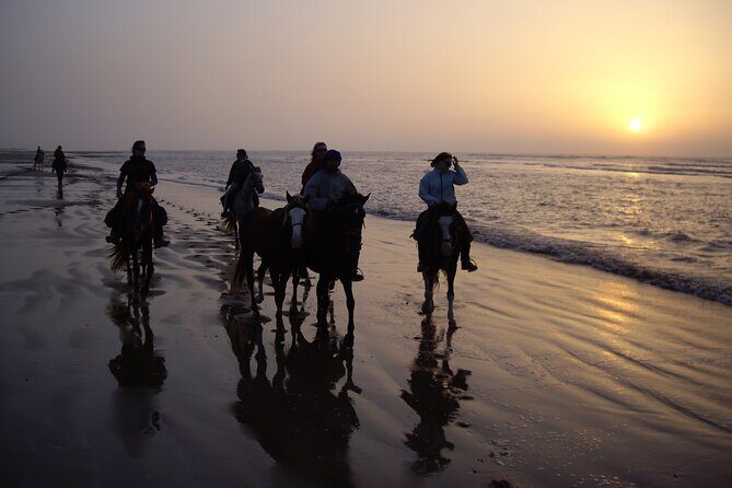 3 hours horse riding in Essaouira, beach, forest and dunes - Who Will Love This Tour?