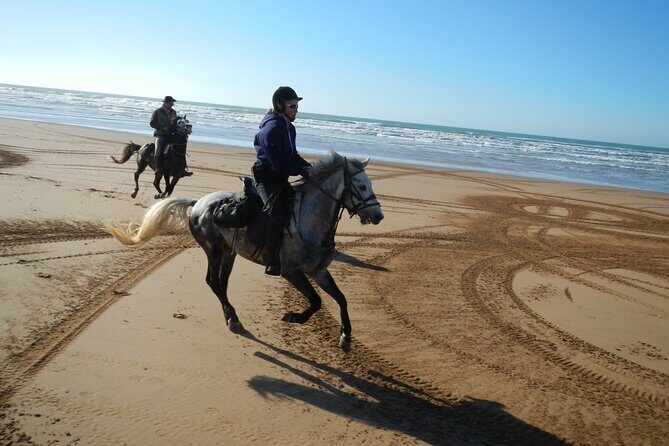 3 hours horse riding in Essaouira, beach, forest and dunes - FAQ