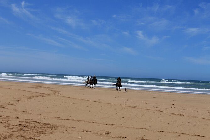 3 Hours Horse Riding with Dinner and Overnight Berber Camp - Value and Practical Details