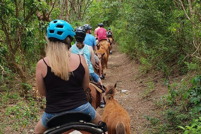 3 Hours Horseback Riding from Nature Trails to Sofa Stone - A Practical Guide to the 3 Hours Horseback Riding Tour from Nature Trails to Sofa Stone