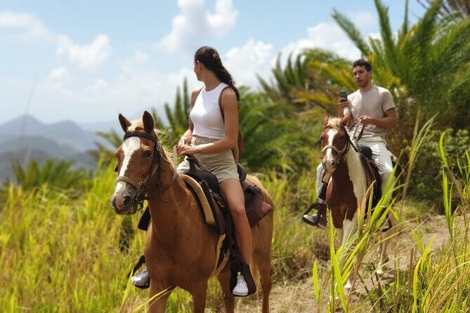 3 Hours Horseback Riding from Nature Trails to Sofa Stone - Key Points