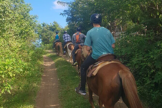 3 Hours Horseback Riding from Nature Trails to Sofa Stone - Final Thoughts