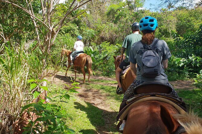 3 Hours Horseback Riding from Nature Trails to Sofa Stone - Frequently Asked Questions