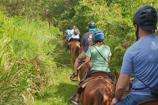 3 Hours Horseback Riding from Nature Trails to Sofa Stone - Final Verdict
