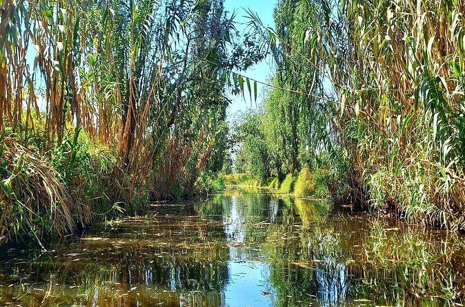 3 Hours of Kayaking at the Ancient Canals of Xochimilco - Highlights of the Experience