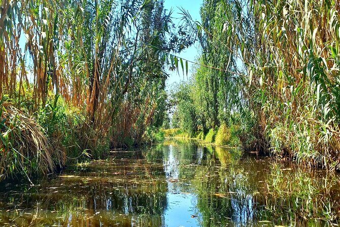 3 Hours of Kayaking at the Ancient Canals of Xochimilco - Practical Details and Tips