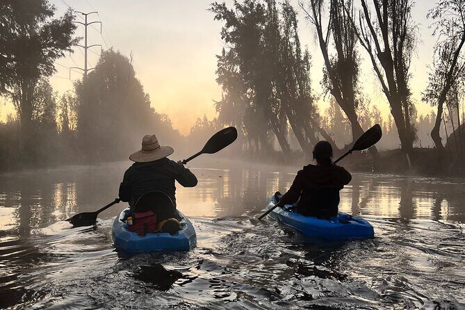 3 Hours of Kayaking at the Ancient Canals of Xochimilco - Who Will Love This Tour?