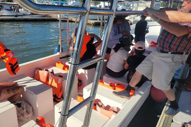 3 Hours of Whale Watching in Puerto Vallarta - Who Will Love This Tour?