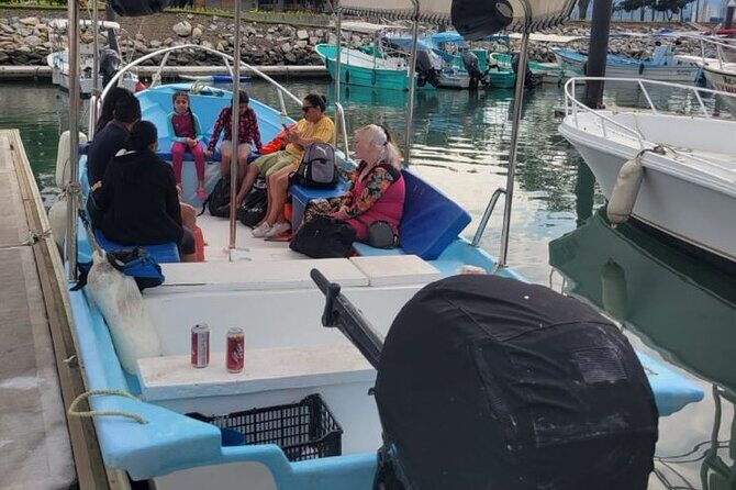 3 Hours of Whale Watching in Puerto Vallarta - The Sum Up