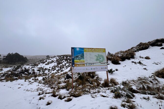3 hours Private Hike: Mountain Nevado Toluca from Mexico city - The Logistics: Transportation, Timing, and Value