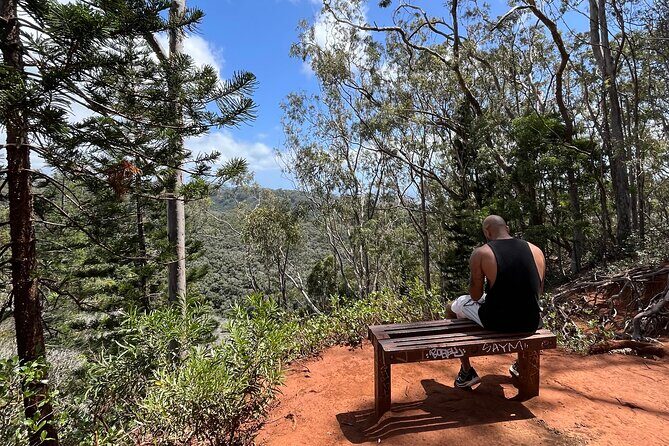 3 Hours Private Hiking and Bushwalking in the Aiea Loop Trail - FAQ