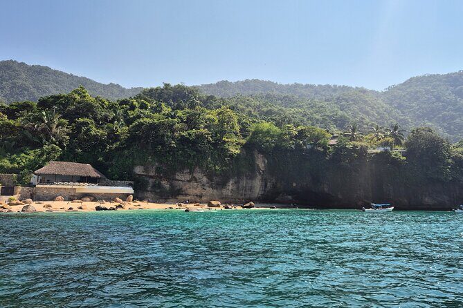 3 hours private snorkeling tour in Misaloya, Puerto Vallarta - Final Thoughts: Who Will Love This Tour?