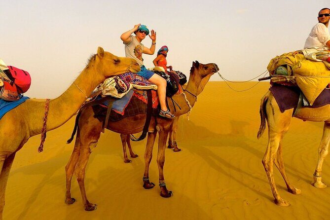 3 Hours Quad & Bedouin village with Camel Ride From Marsa Alam - Pickup and Transportation
